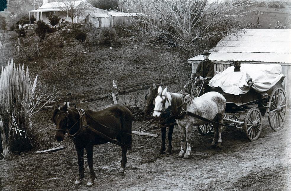 Horse-drawn wagon, Heywood farm, Mount Compass [B 18659/16]